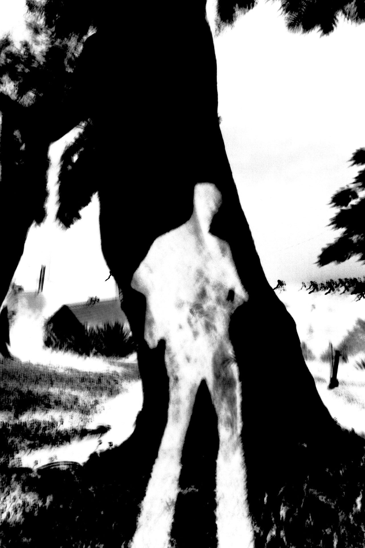 Ombres - Photographie de Christine Gauche